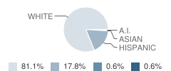 Tangent Elementary School Student Race Distribution