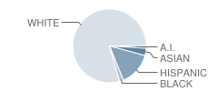 Memorial Middle School Student Race Distribution