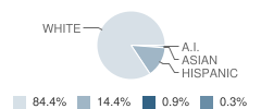 Amity Elementary School Student Race Distribution