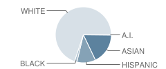 Rock Creek Elementary School Student Race Distribution