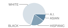 Errol Hassell Elementary School Student Race Distribution