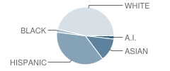 Lynch Meadows Elementary School Student Race Distribution