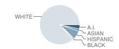 Dallas High School Student Race Distribution