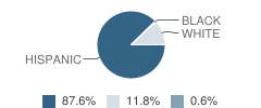 Cornelius Elementary School Student Race Distribution