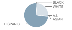 Echo Shaw Elementary School Student Race Distribution