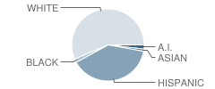 Howard Elementary School Student Race Distribution