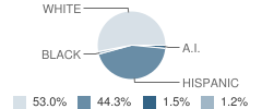 Washington Elementary School Student Race Distribution