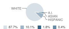 Mulino Elementary School Student Race Distribution