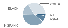 Peninsula Elementary School Student Race Distribution