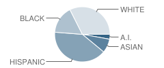 Sitton Elementary School Student Race Distribution