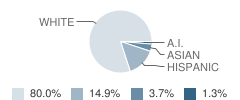 Clear Lake Elementary School Student Race Distribution