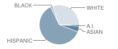 Scott Elementary School Student Race Distribution