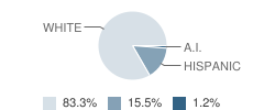 Hazel Green Elementary School Student Race Distribution