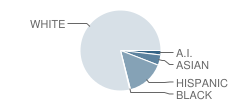 Liberty Elementary School Student Race Distribution