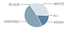 Hayesville Elementary School Student Race Distribution