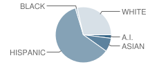 Swegle Elementary School Student Race Distribution