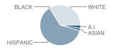 Weddle Elementary School Student Race Distribution