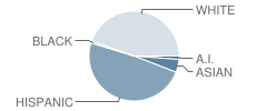 Hammond Elementary School Student Race Distribution