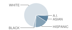 Tigard High School Student Race Distribution