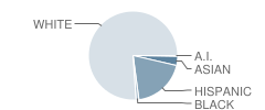 Inza R Wood Middle School Student Race Distribution