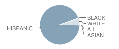 Washington Elementary School Student Race Distribution