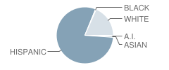 Lincoln Elementary School Student Race Distribution