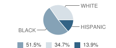 Transition School Student Race Distribution