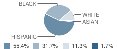 Kensington Intern Business School Student Race Distribution