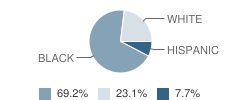 P E A C E School of Excellence Student Race Distribution