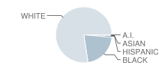 Jeannette Mckee Elementary School Student Race Distribution