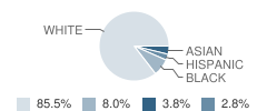 Jenkintown Middle/High School Student Race Distribution