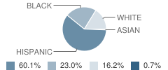 Phoenix Academy Student Race Distribution