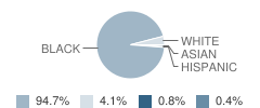 Manchester Elementary School Student Race Distribution