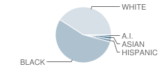 Pittsburgh Science & Technology Academy Student Race Distribution