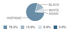 Gateway School for International Business and World Language Student Race Distribution