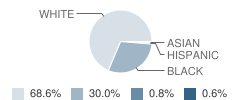 Sharon High School Student Race Distribution