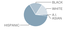 Harrison-Morton Middle School Student Race Distribution