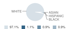 Athens Area High School Student Race Distribution