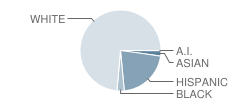 Penn London Elementary School Student Race Distribution