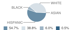 Lincoln Elementary School Student Race Distribution