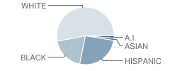 William Penn Elementary School Student Race Distribution