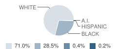 Beaver Falls Area High School Student Race Distribution