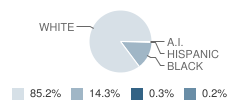 Brownsville Area High School Student Race Distribution