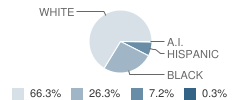 Hamilton Elementary School Student Race Distribution