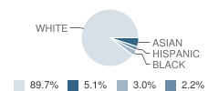 Lenape Middle School Student Race Distribution