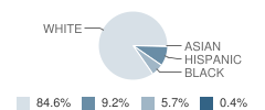 Grandview Elementary School Student Race Distribution