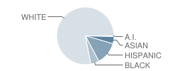 Falling Spring Elementary School Student Race Distribution