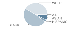 Cedarbrook Middle School Student Race Distribution