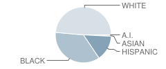 Rainbow Elementary School Student Race Distribution