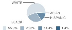 East Fallowfield Elementary School Student Race Distribution